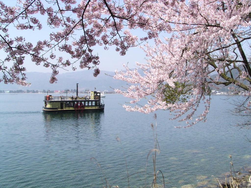 Surrounding environment
