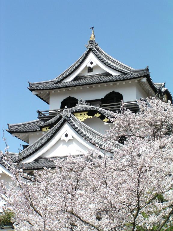 Surrounding environment