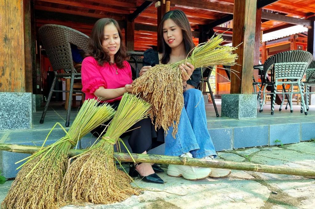 Nasan Green Farm photo