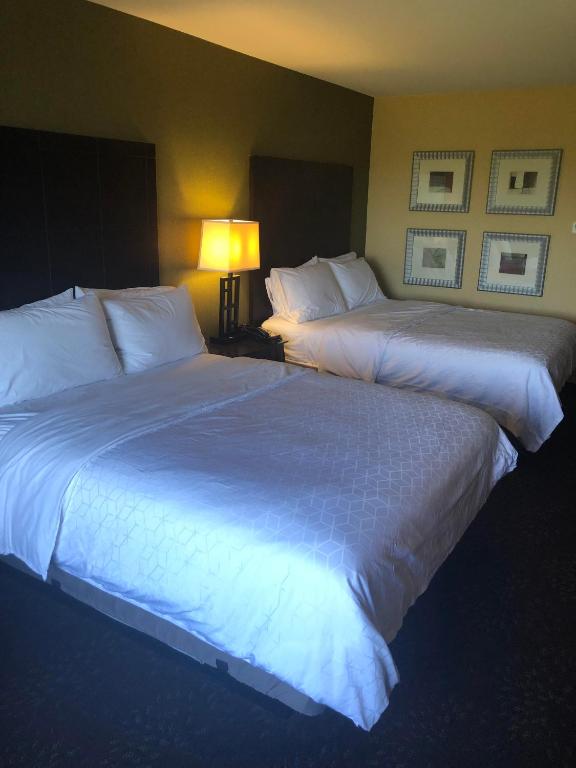 Holiday Inn Express & Suites Lansing - Dimondale Photo 27