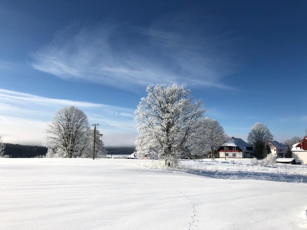 Surrounding environment