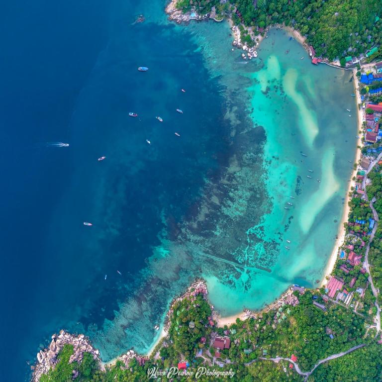 New Heaven Dive Resort photo