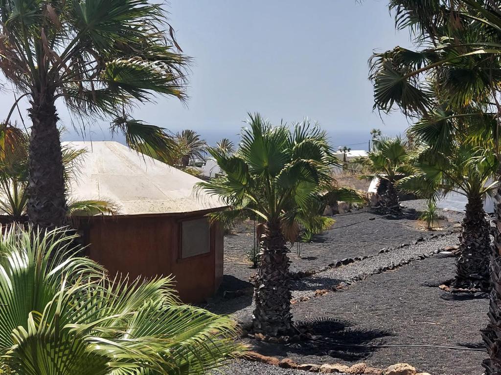 Gemütliches Holzhäuschen La Asomada Lanzarote - 1