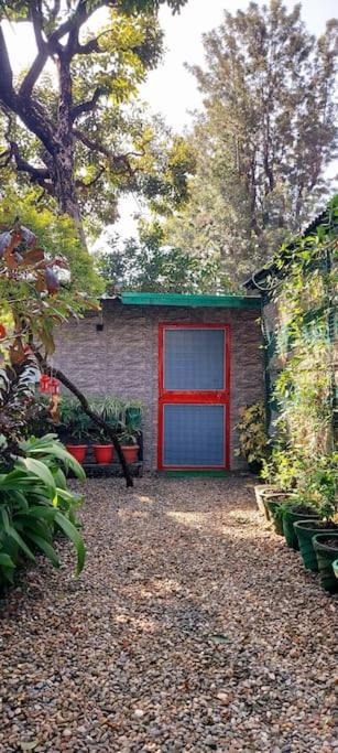 Olive Greens Homestay photo