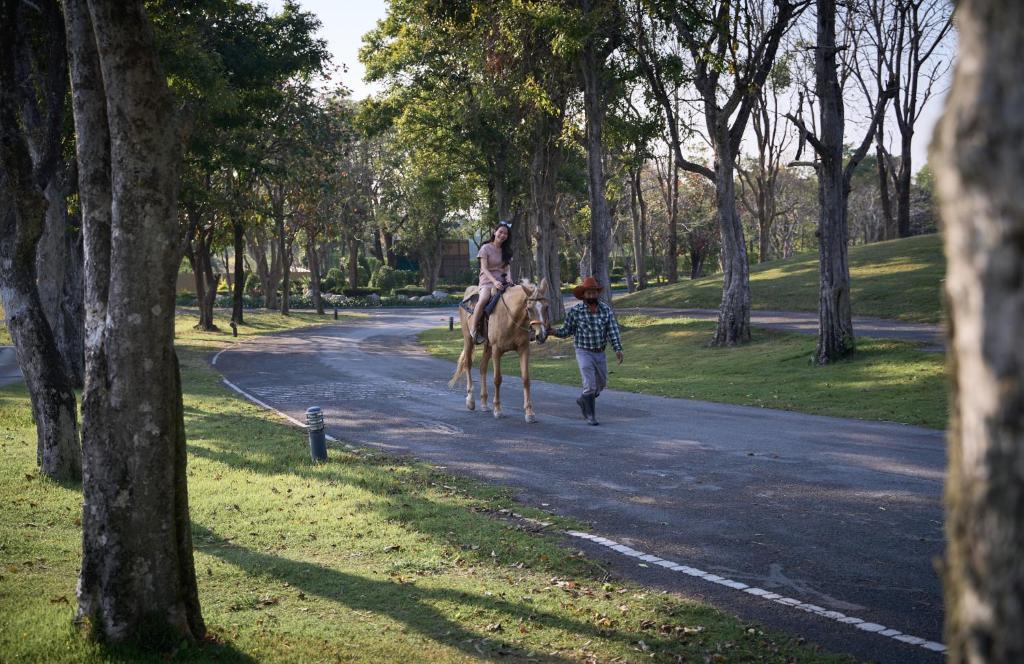 กิจกรรม