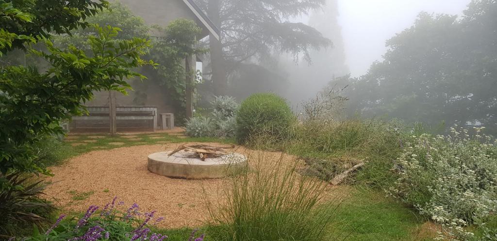 Surrounding environment