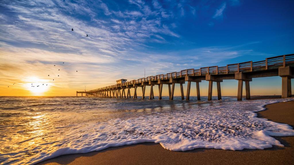 Tropical Villas Of Venice Beach photo