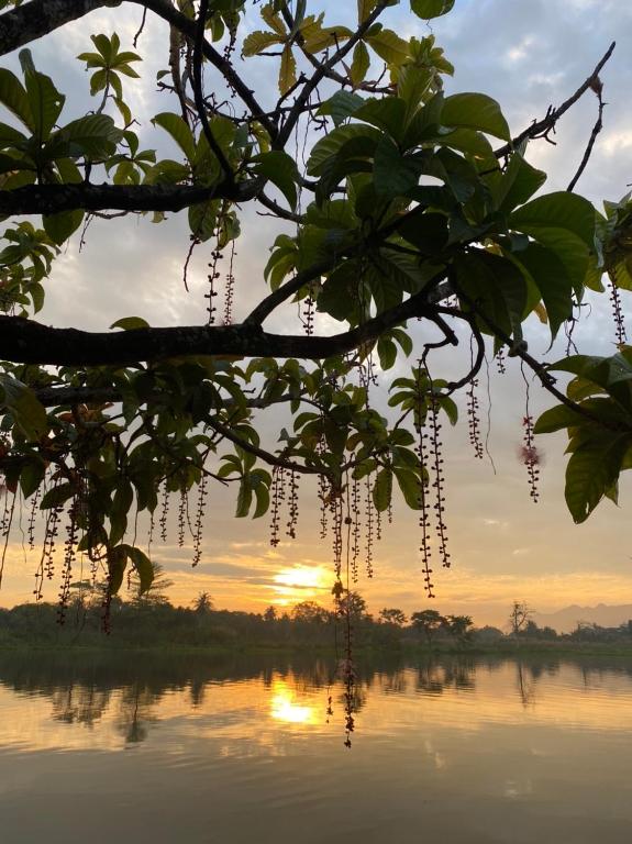 Surrounding environment