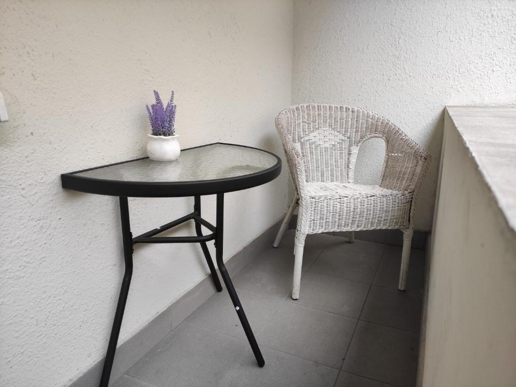 Hostel Helvetia photo