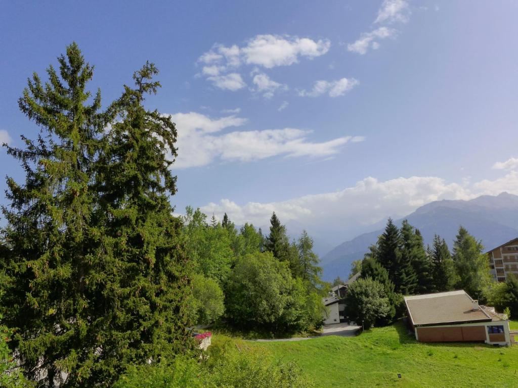 Apartment Barzettes-Vacances 558 - Entrée N- 18 by Interhome - 5