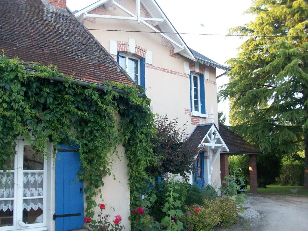 Loire, Chateaux, et Vignes photo