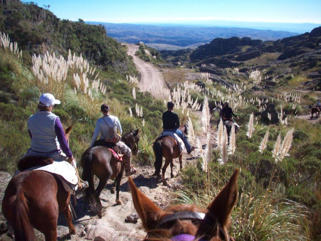 Horseback riding