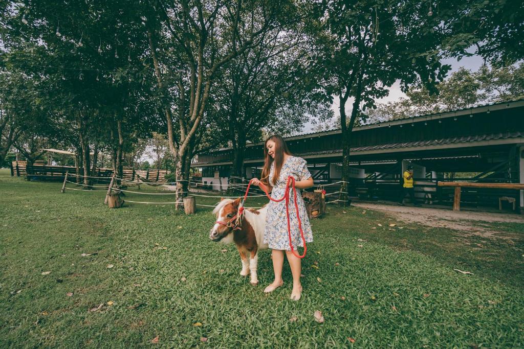 สภาพแวดล้อมโดยรอบ