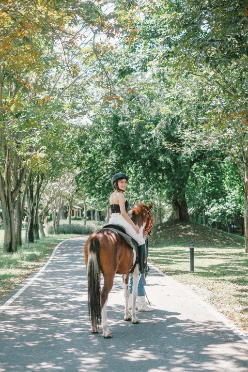 สภาพแวดล้อมโดยรอบ