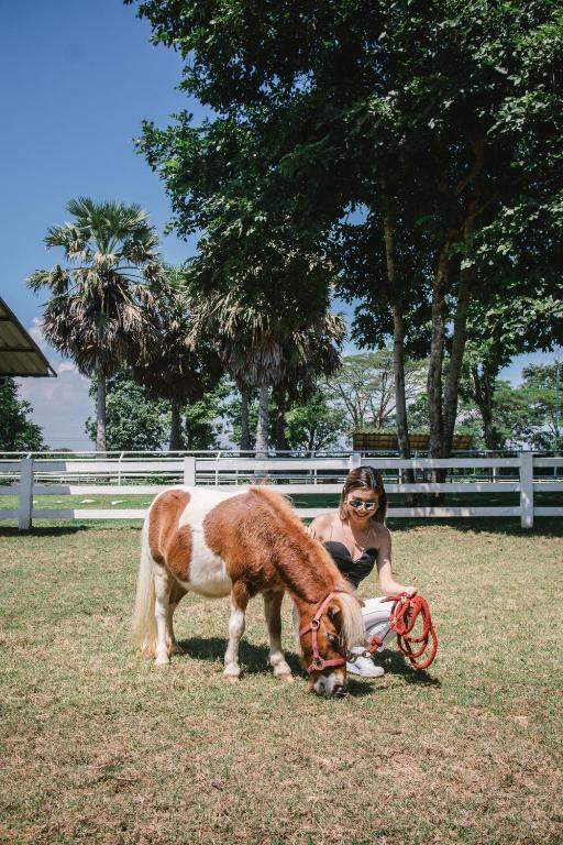 กิจกรรม