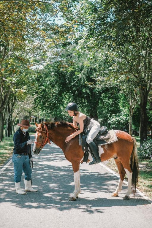 กิจกรรม