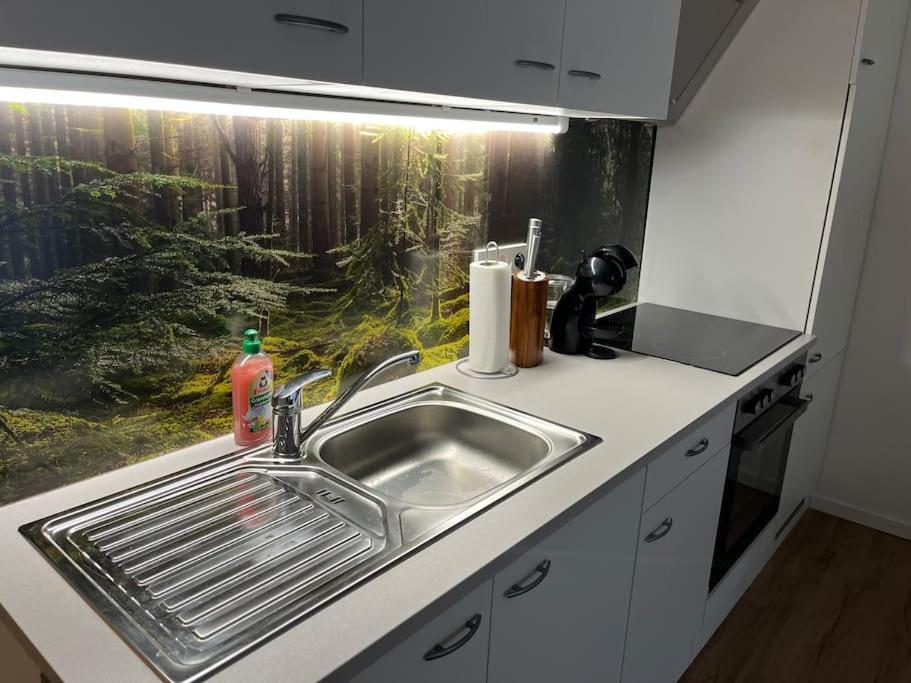 Gemütliches 4er Apartment in Skilift-Nähe - 4