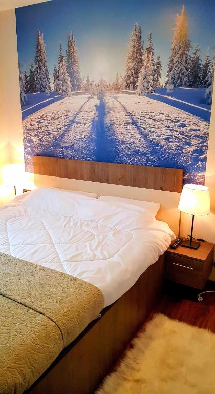 WELLKOP Apartman Kopaonik - 3