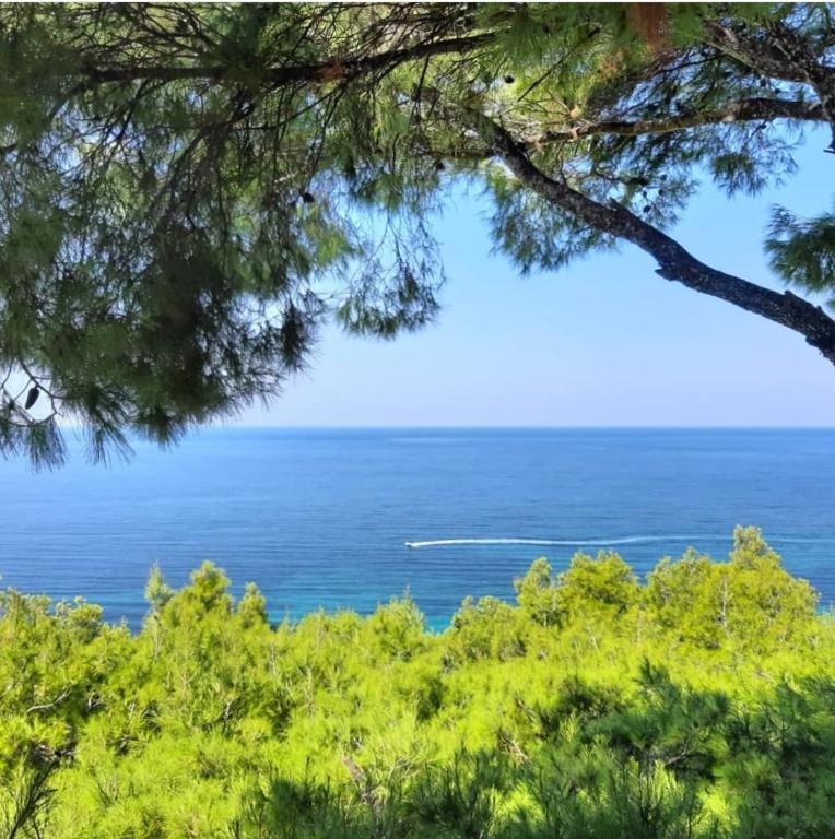Sani Beach Gallery Villa, your next family vacation! photo