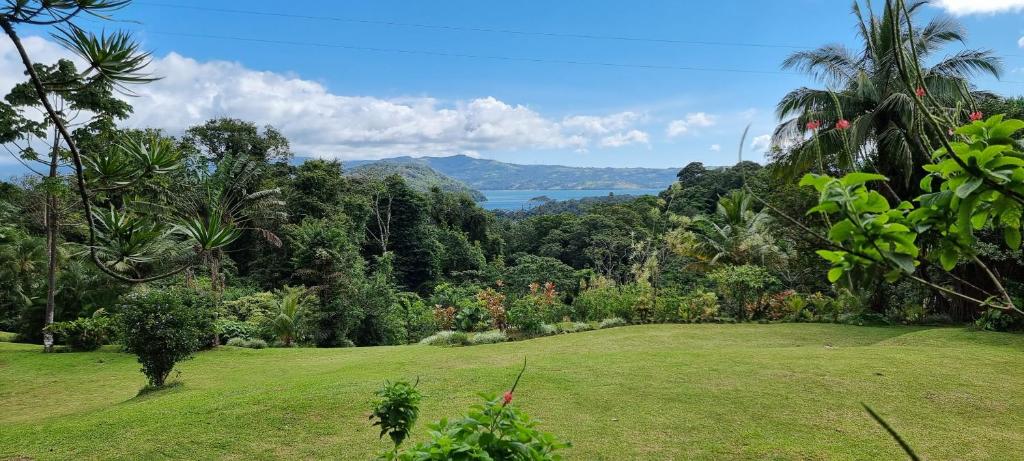 Hotel La Rana de Arenal photo