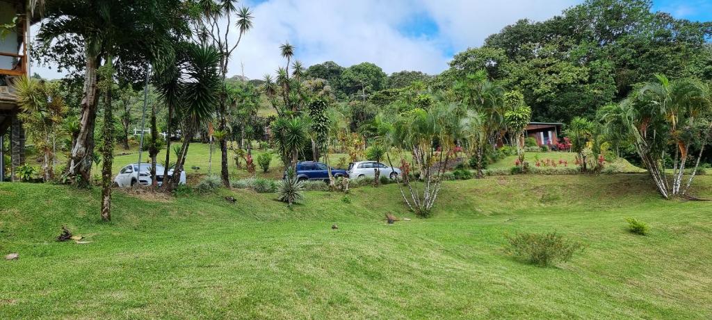 Hotel La Rana de Arenal photo
