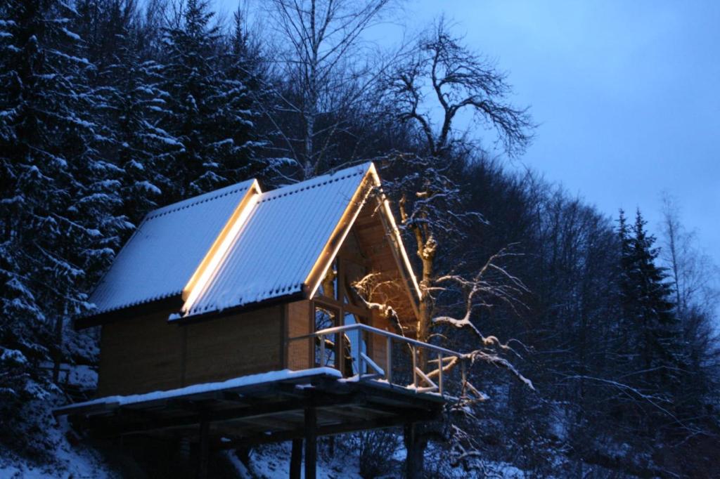 Tree house - Tara Place, Mojkovac