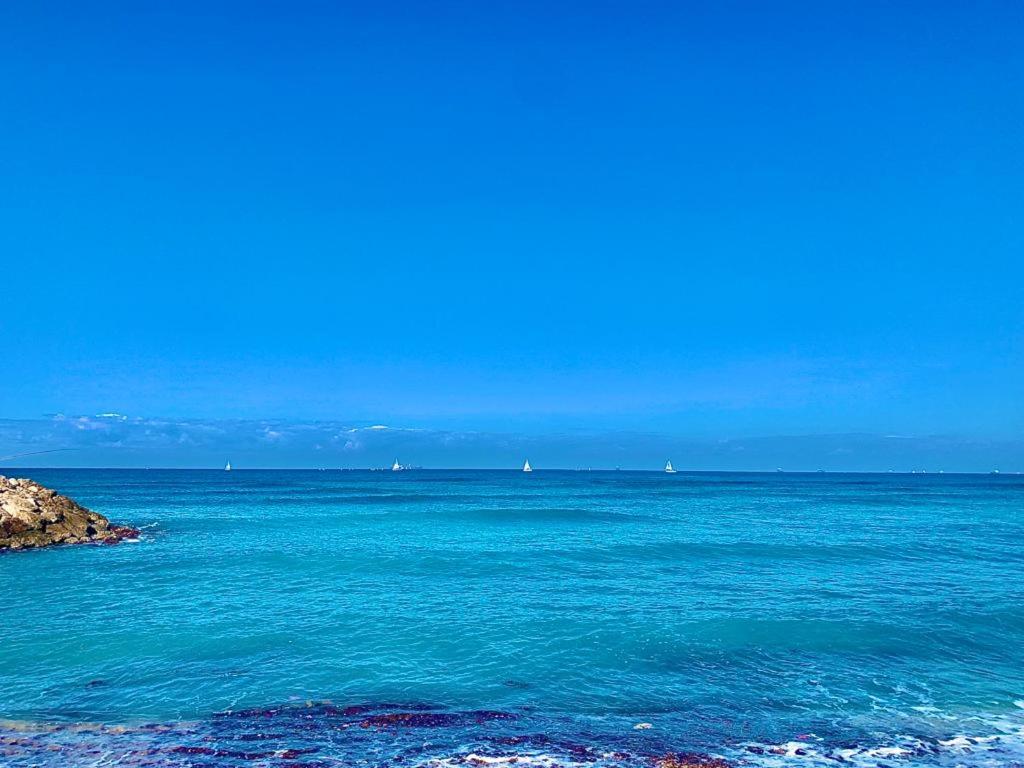 Beach Apartments photo