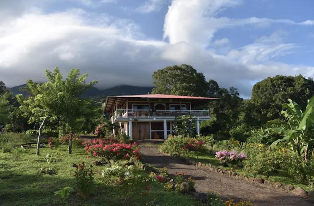 Finca Ometepe, Balgue