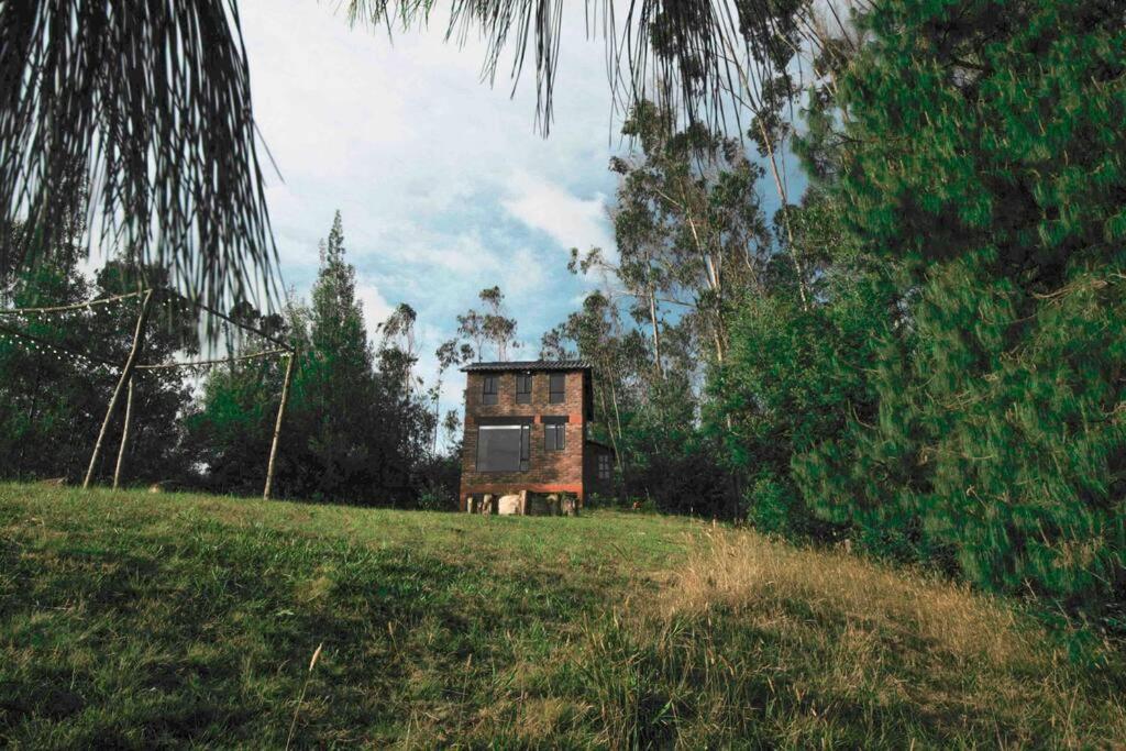 Paradise Glamping - 4