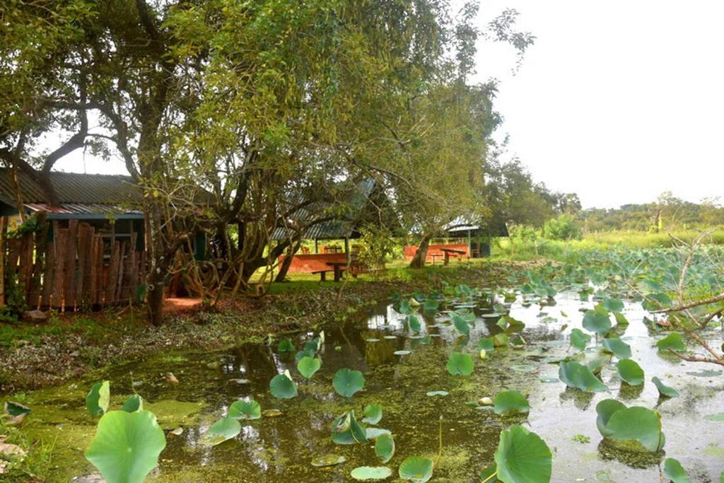 Meegahapokuna Resort, Anuradhapura