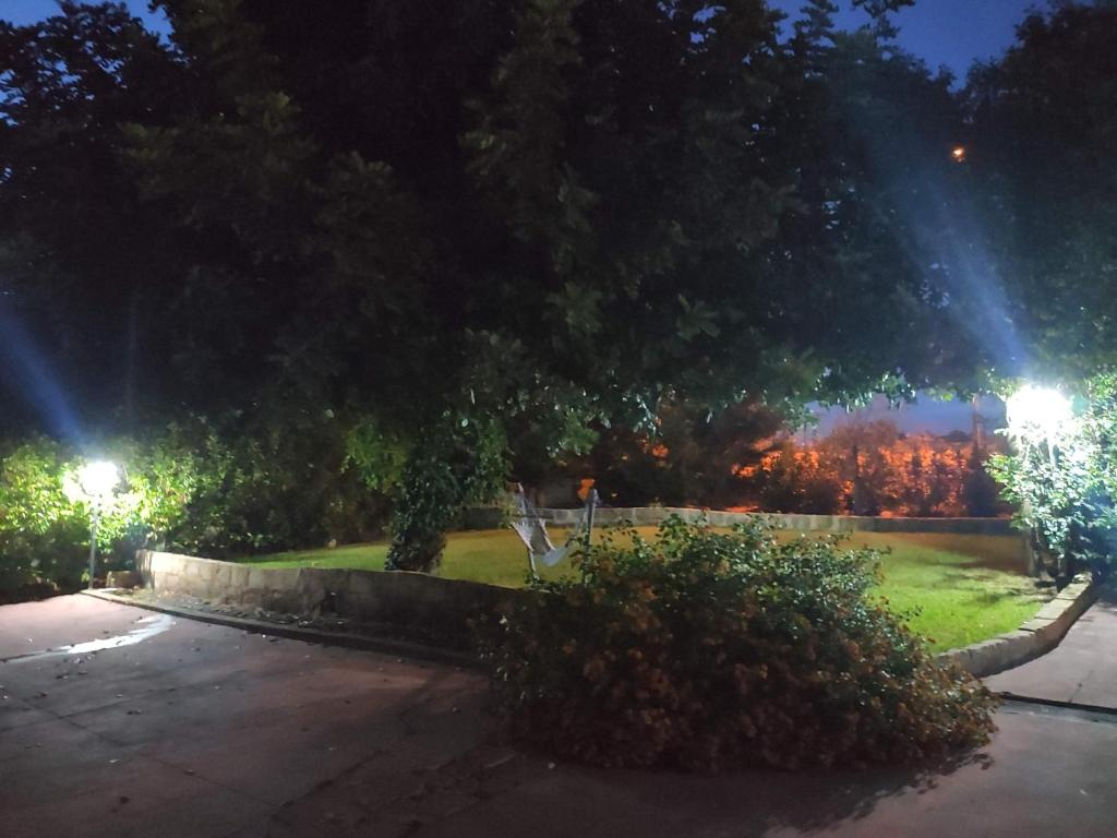 Casa La Pennica photo
