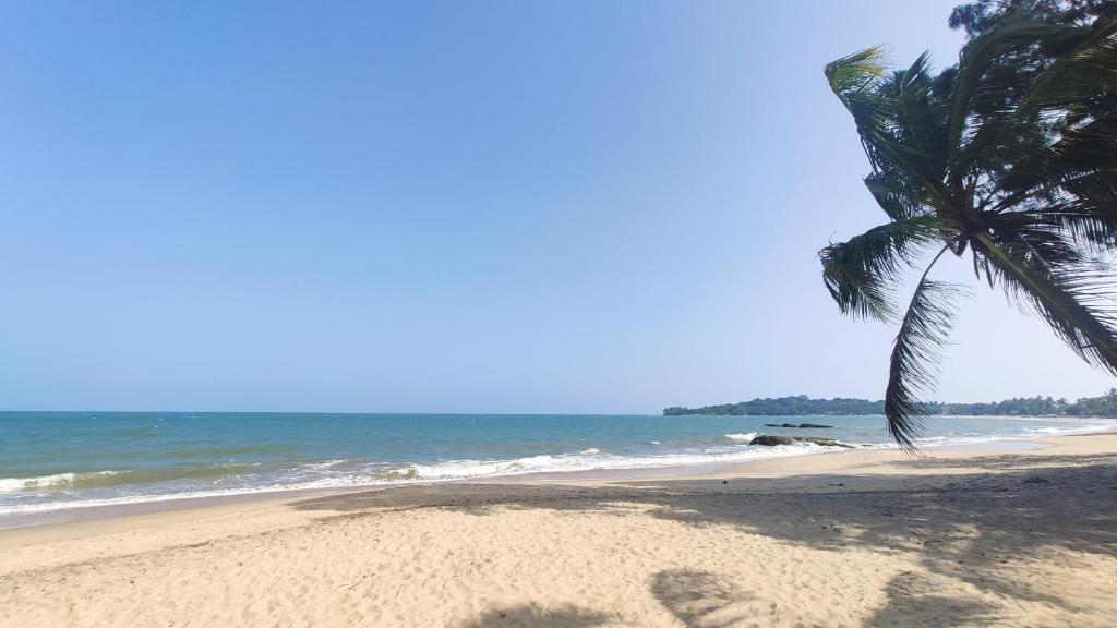 Surrounding environment