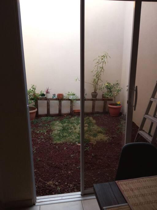 La Casa Del Pinito photo