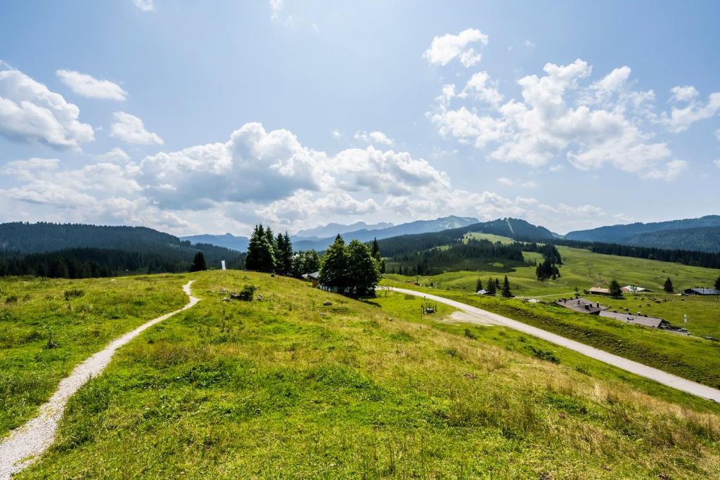 Ferienwohnung in Unterwirts Almhütte auf der Winklmoosalm - 5