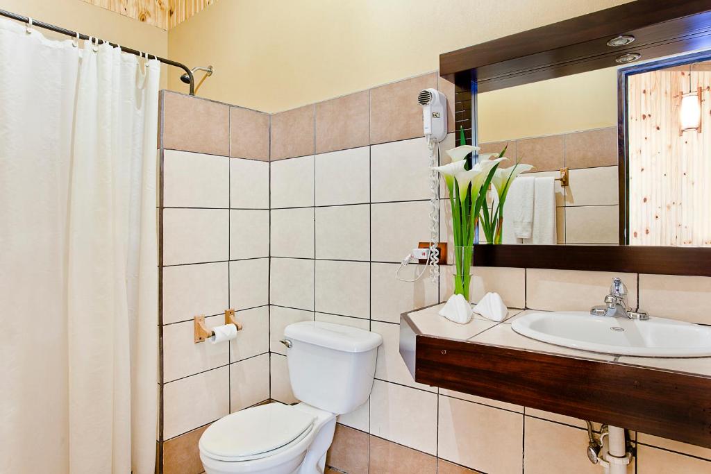 Hotel Savegre photo