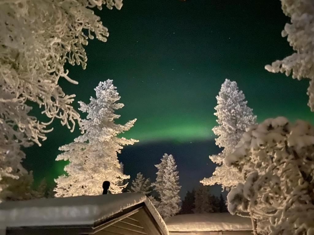 Villa Haukka photo