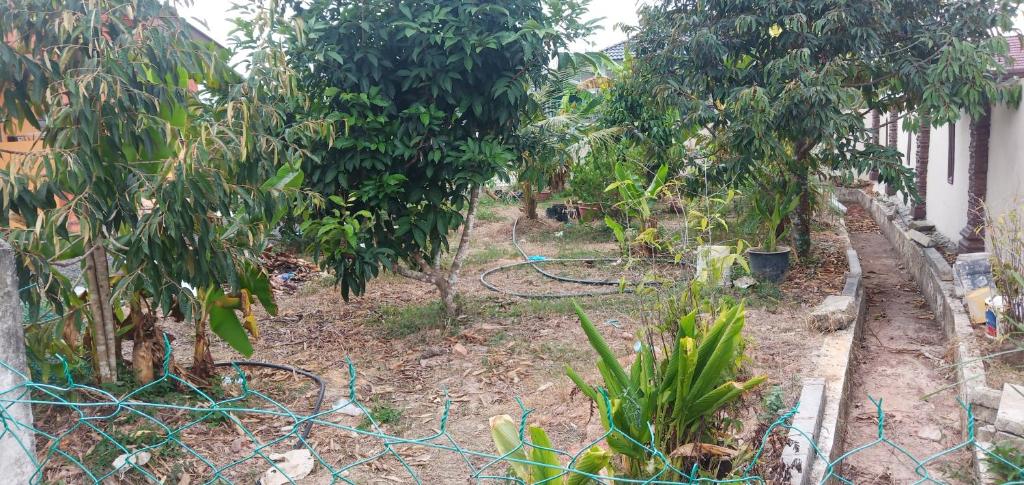 Nurul Saadah Lunas photo