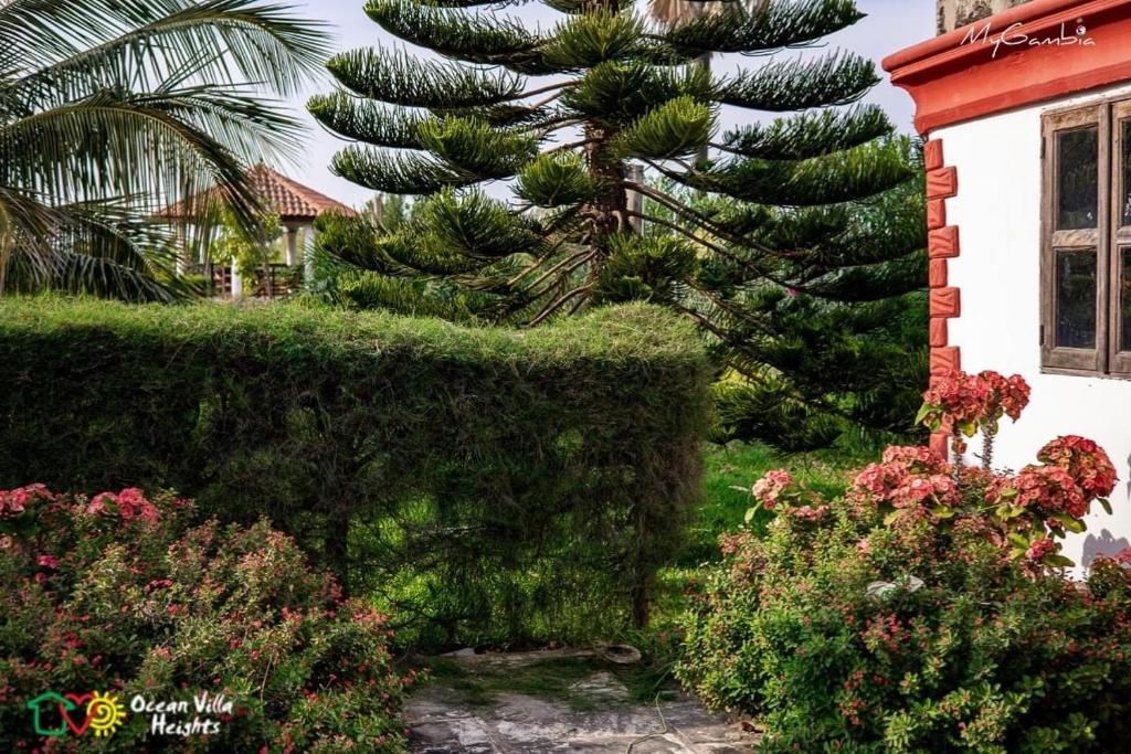 Surrounding environment