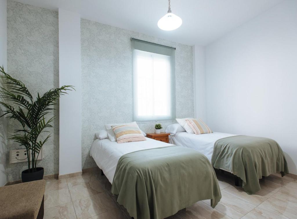 Siete Revueltas Suite Apartment - 4