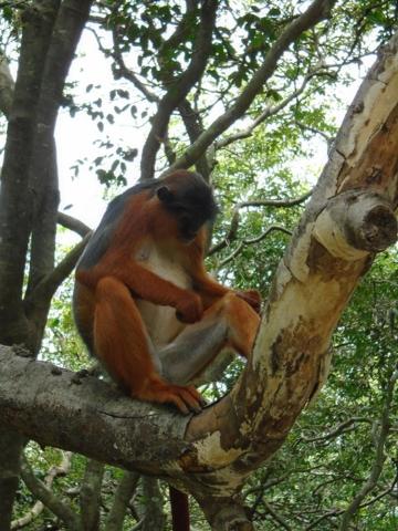 Surrounding environment