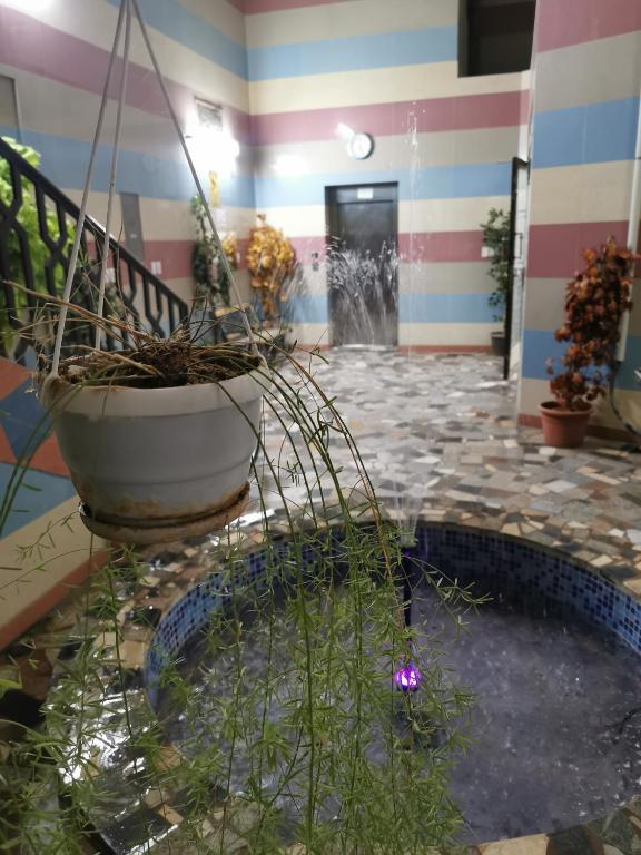 شقق عائلية مع انترنت مجاني photo