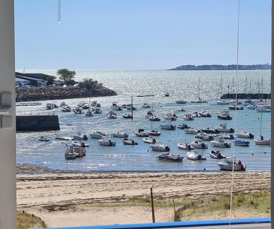 Appartement Face Mer au pied des commerces - 1