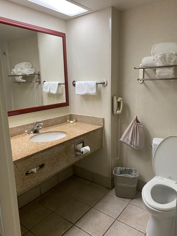Homestead Lodge Apart Hotel photo