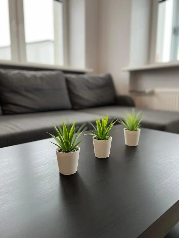 Akmene Center Apartment, hotel in Naujoji Akmenė