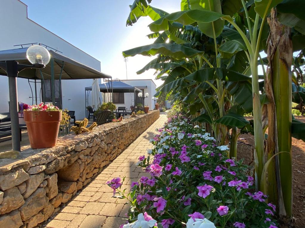 B&B Fellini Gallipoli - 3