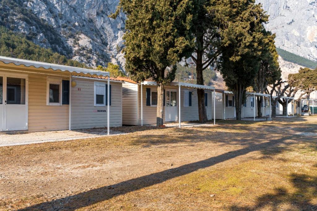 Camping Daino - 4