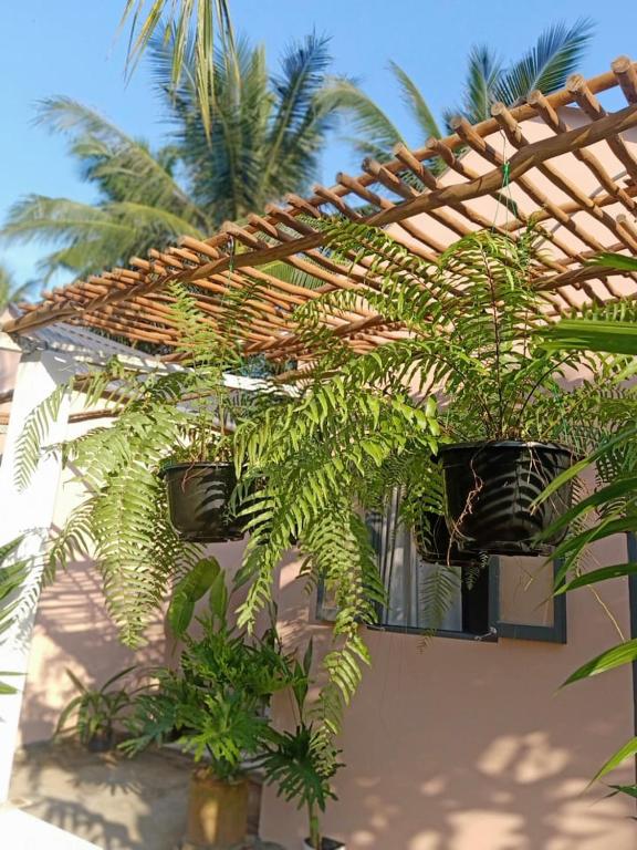 Happy Farm Tien Giang Homestay 호텔 이미지 2