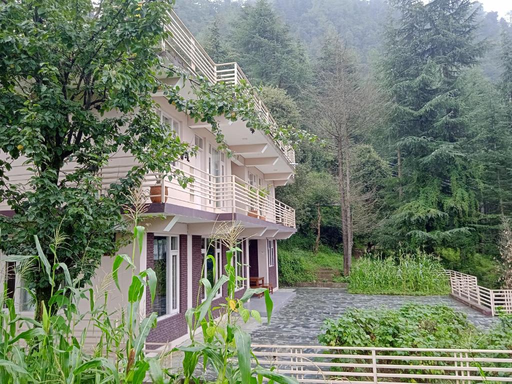 Junglaat Ecorganic Stays & Experiences photo