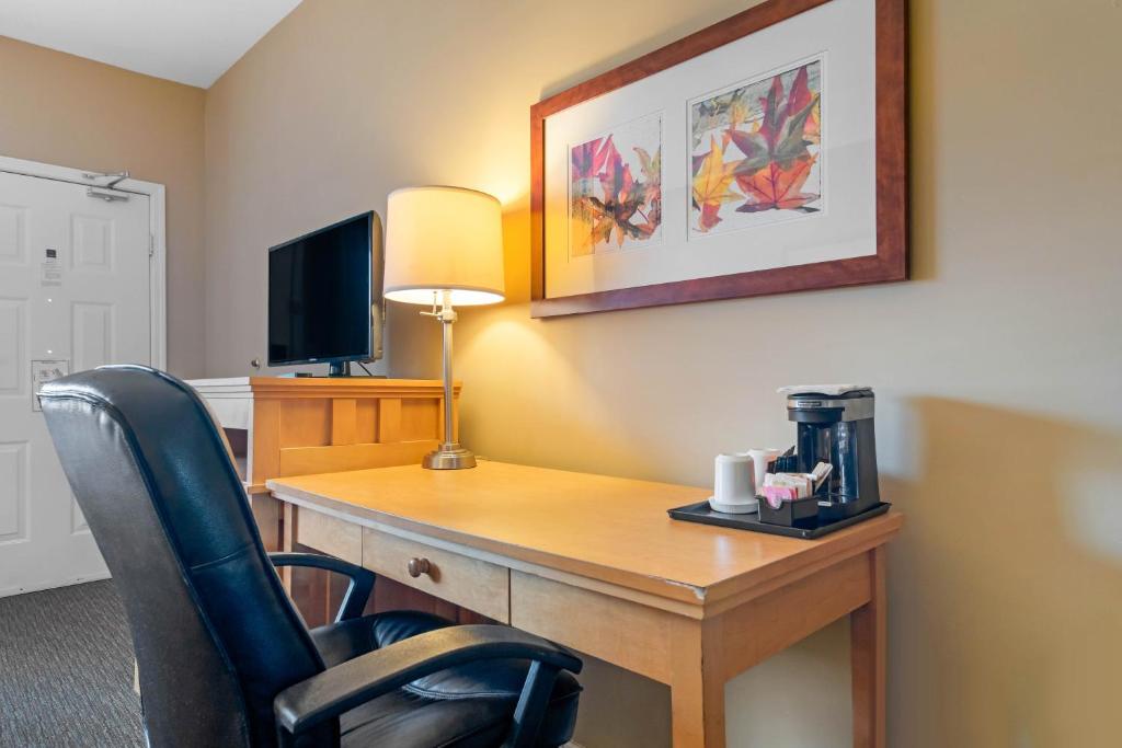 Comfort Inn & Suites Photo 41