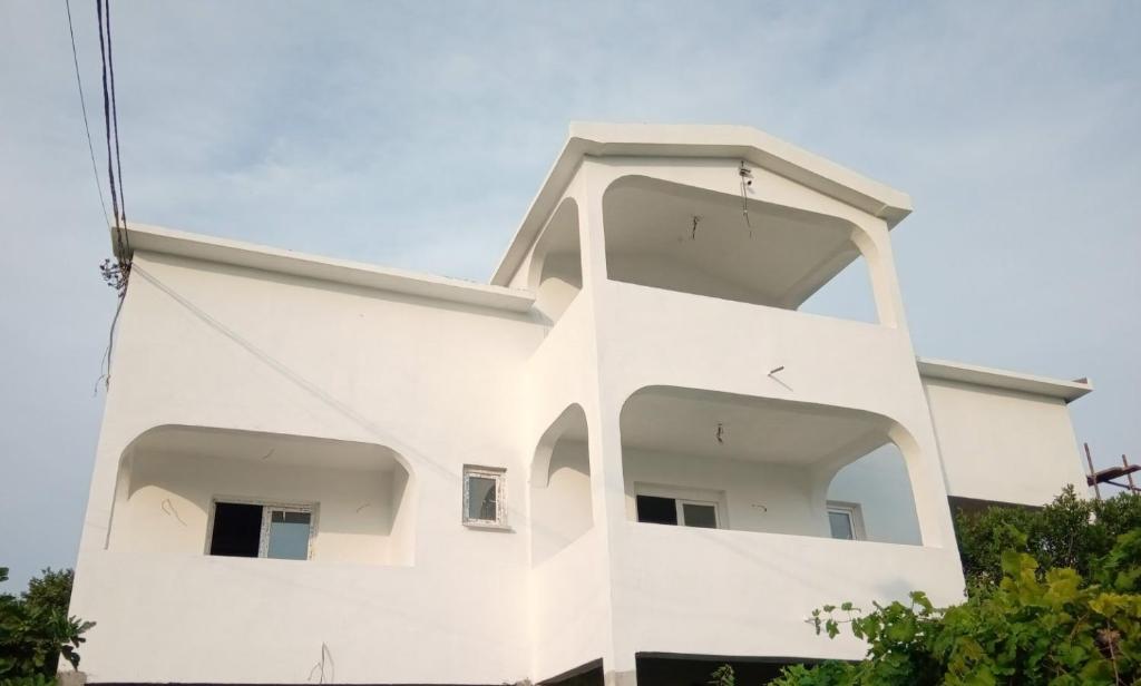 Hostel Olea - 3